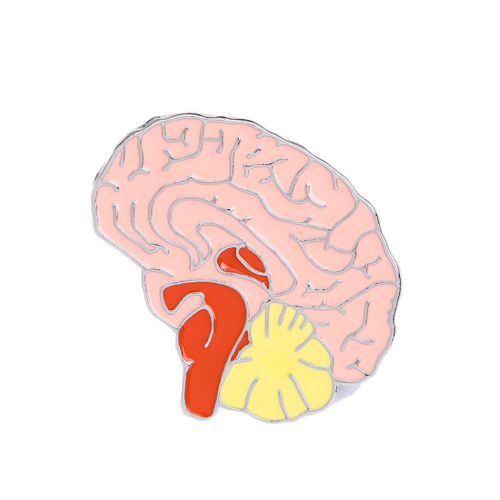 Punk Lungs Brain Brooches Head Organ Pins For Doctors and Nurses Medical Students Knapsack Jeans Bag Sui Badge Gift
Punk Lungs Brain Brooches Head Organ Pins For Doctors and Nurses Medical Students Knapsack Jeans Bag Sui Badge Gift