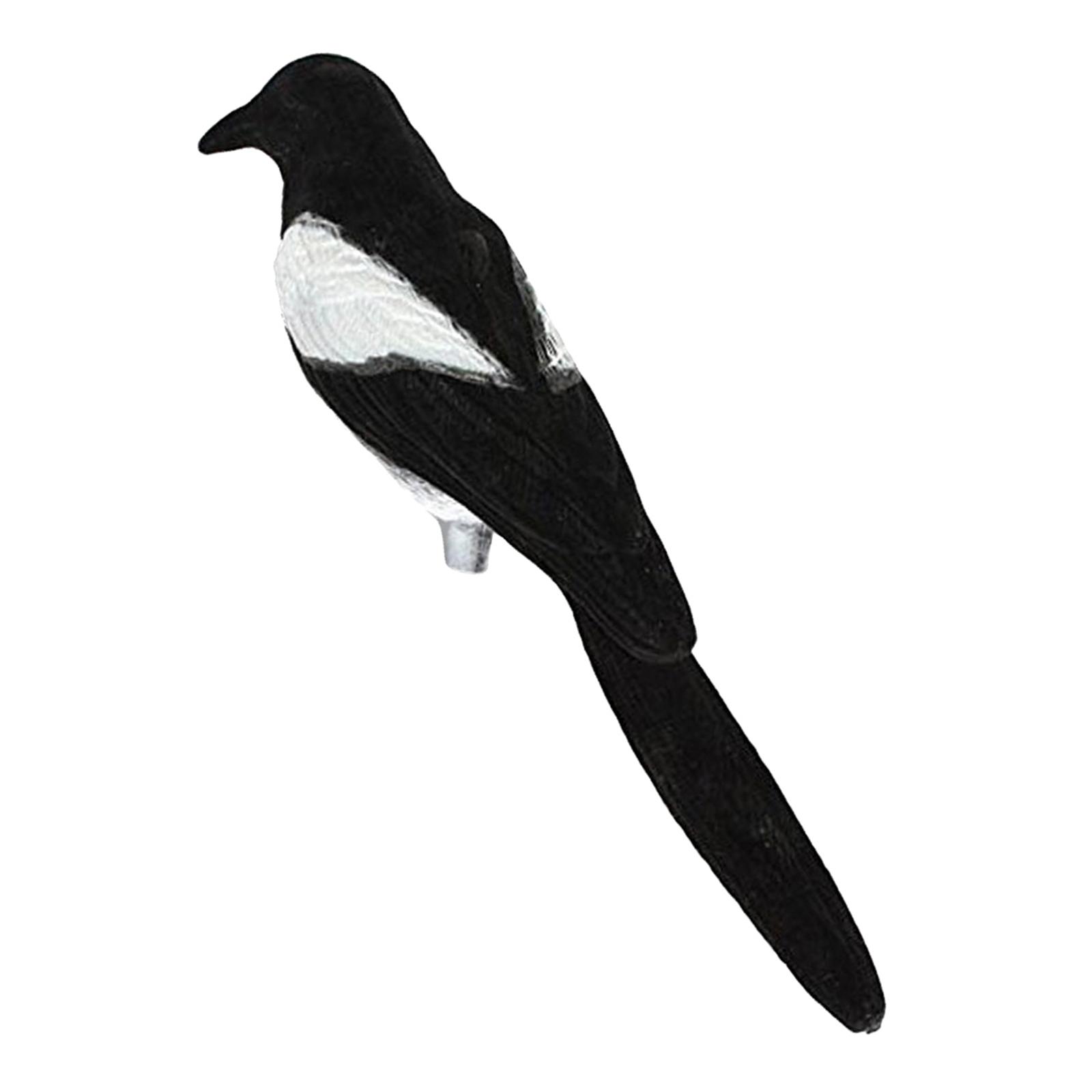 Plastic Flocked Magpie Decoy Shooting Trap Decoying Gardne Farm Animal Statue Figurine Hunting Decoy Bird
Plastic Flocked Magpie Decoy Shooting Trap Decoying Gardne Farm Animal Statue Figurine Hunting Decoy Bird
