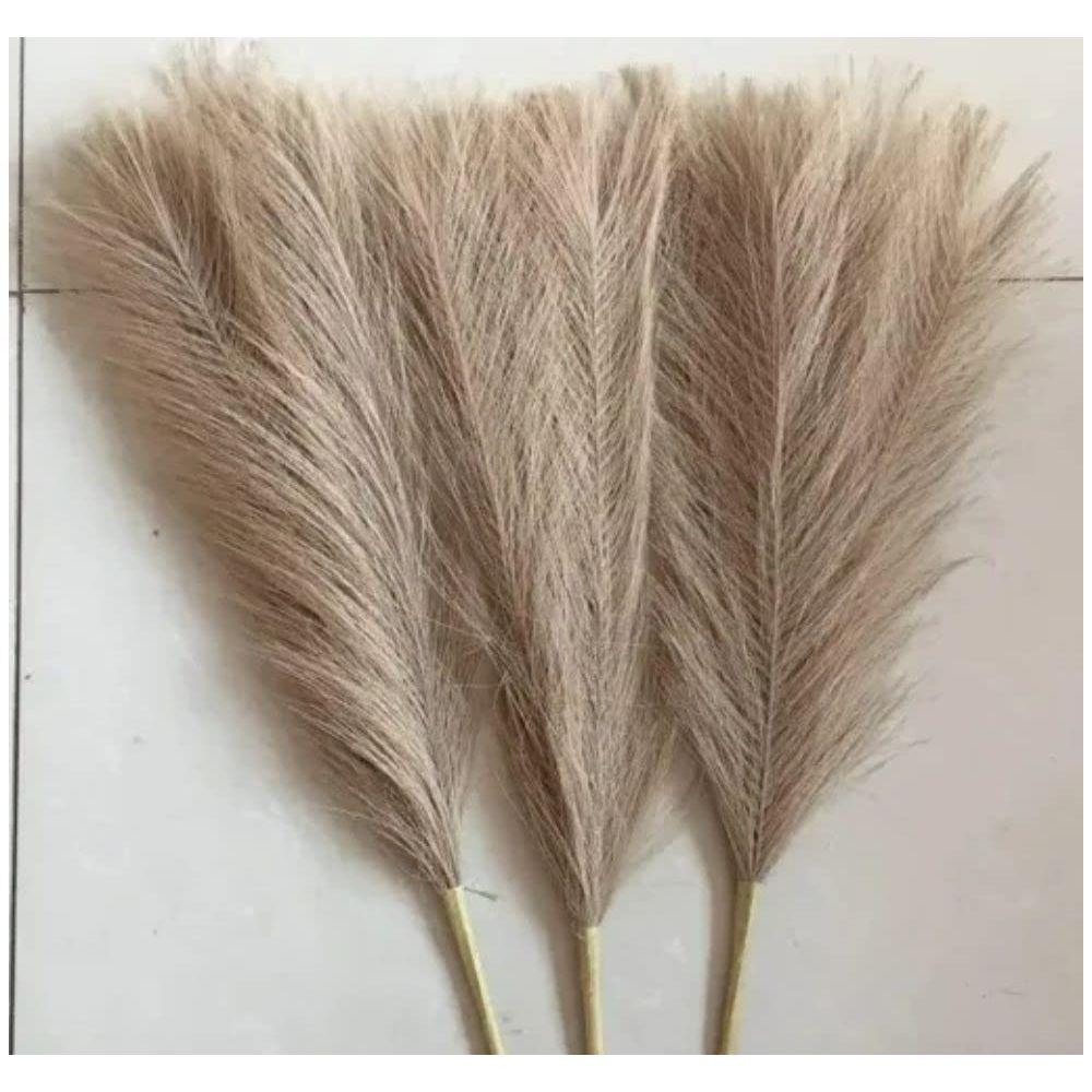 6 Pcs Faux Pampas Grass Small Fluffy Artificial Flowers Fake Flower for Home,Office,Bedroom,Table Decoration Corner (Without Vase Pot) (Brown)
6 Pcs Faux Pampas Grass Small Fluffy Artificial Flowers Fake Flower for Home,Office,Bedroom,Table Decoration Corner (Without Vase Pot) (Brown)
