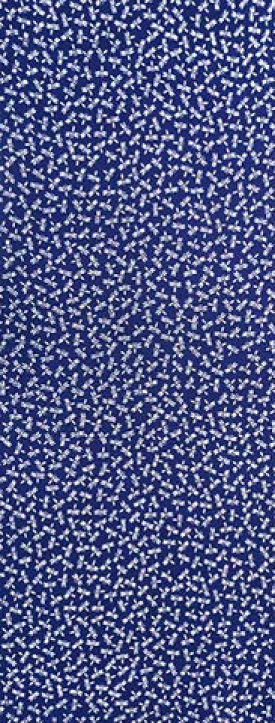 Todaya Shoten Tenugui Dragonfly 804 Nashien-zome (hand towel) (Navy)
Todaya Shoten Tenugui Dragonfly 804 Nashien-zome (hand towel) (Navy)
