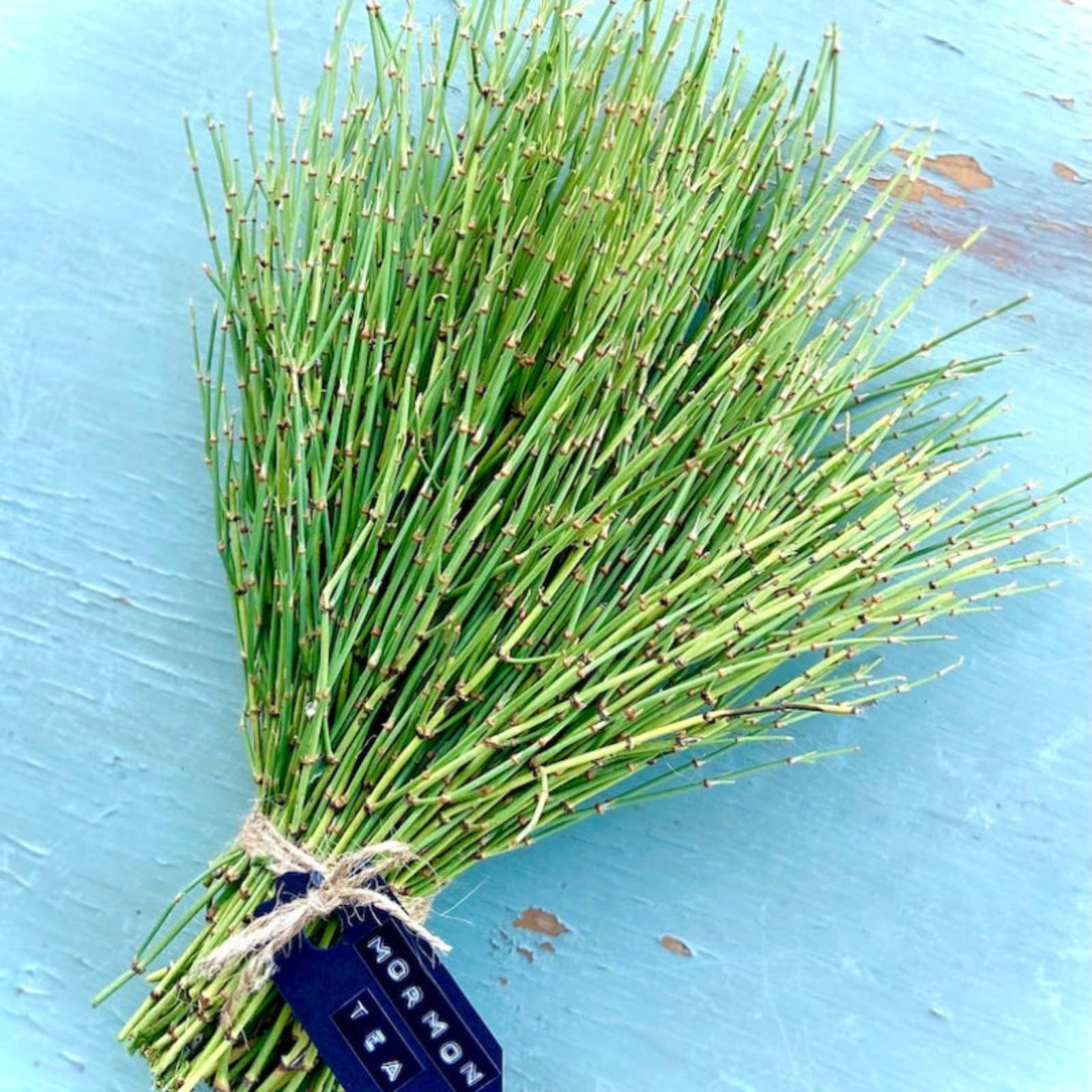 Mormon Tea ~ Wild foraged in the Mojave Desert Mountains Mahuang Tea 250g Default Title
Mormon Tea ~ Wild foraged in the Mojave Desert Mountains Mahuang Tea 250g Default Title