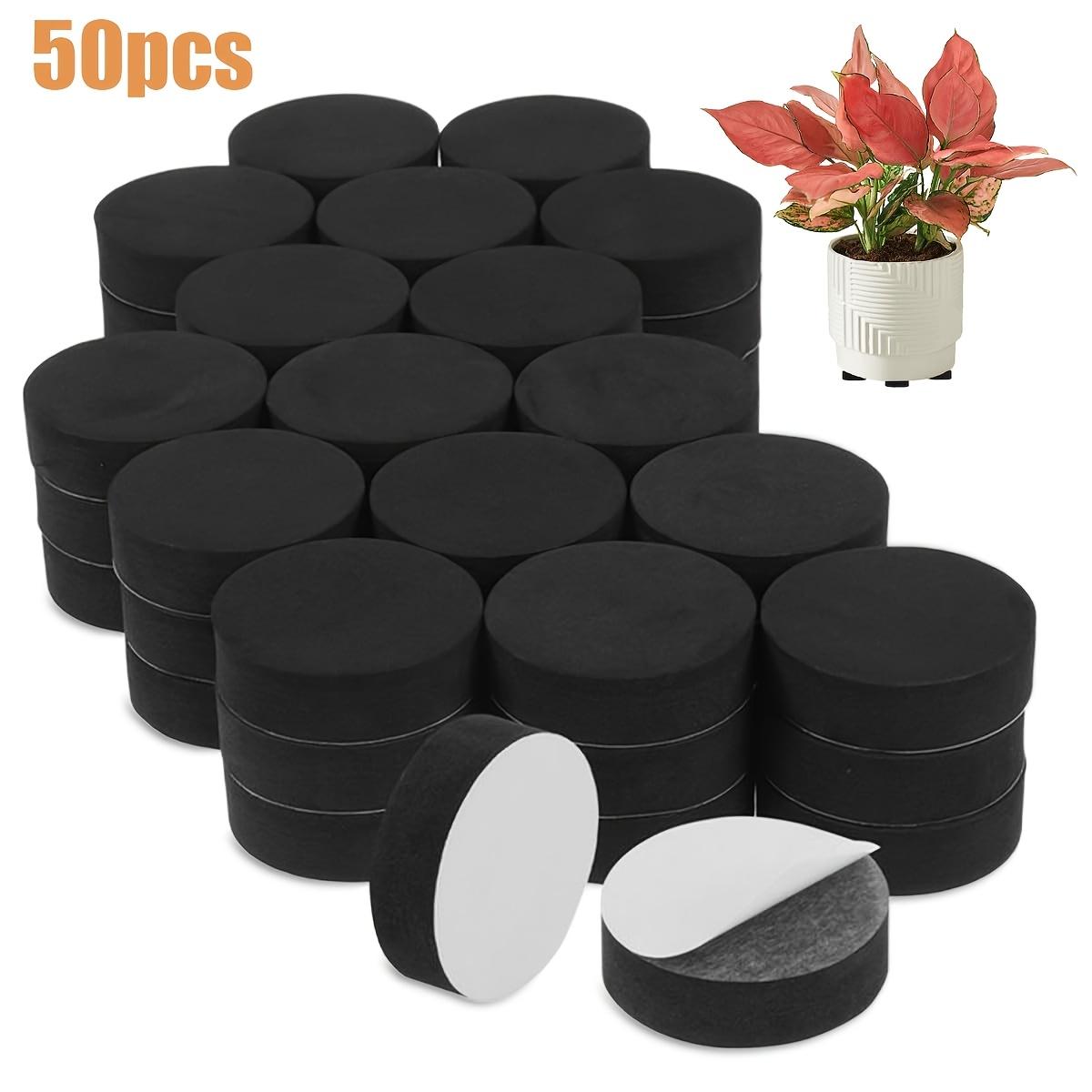 50pcs Invisible Flower Pot Feet Black Non-Slip Feet For Flower Tubs 3x1cm Self-Adhesive Flower Pot Feet Gardening Accessories
50pcs Invisible Flower Pot Feet Black Non-Slip Feet For Flower Tubs 3x1cm Self-Adhesive Flower Pot Feet Gardening Accessories