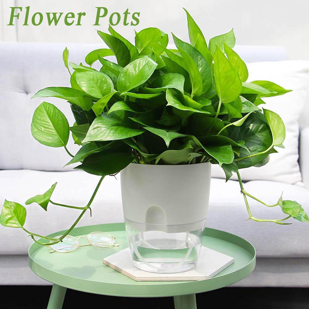 Auto Irrigate Decoration Green Dill Garden Supplies Planters Flower Pots Plant Pot Home Decor 10X13CM white
Auto Irrigate Decoration Green Dill Garden Supplies Planters Flower Pots Plant Pot Home Decor 10X13CM white