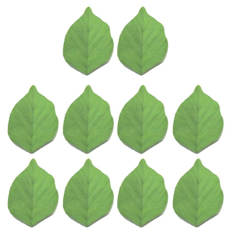 Self Adheive Note Paper Small Notepads Leaf Shaped Notes Paper Unllined Sheet Reminders on Fridges Notebook Calendar 1
Self Adheive Note Paper Small Notepads Leaf Shaped Notes Paper Unllined Sheet Reminders on Fridges Notebook Calendar 1