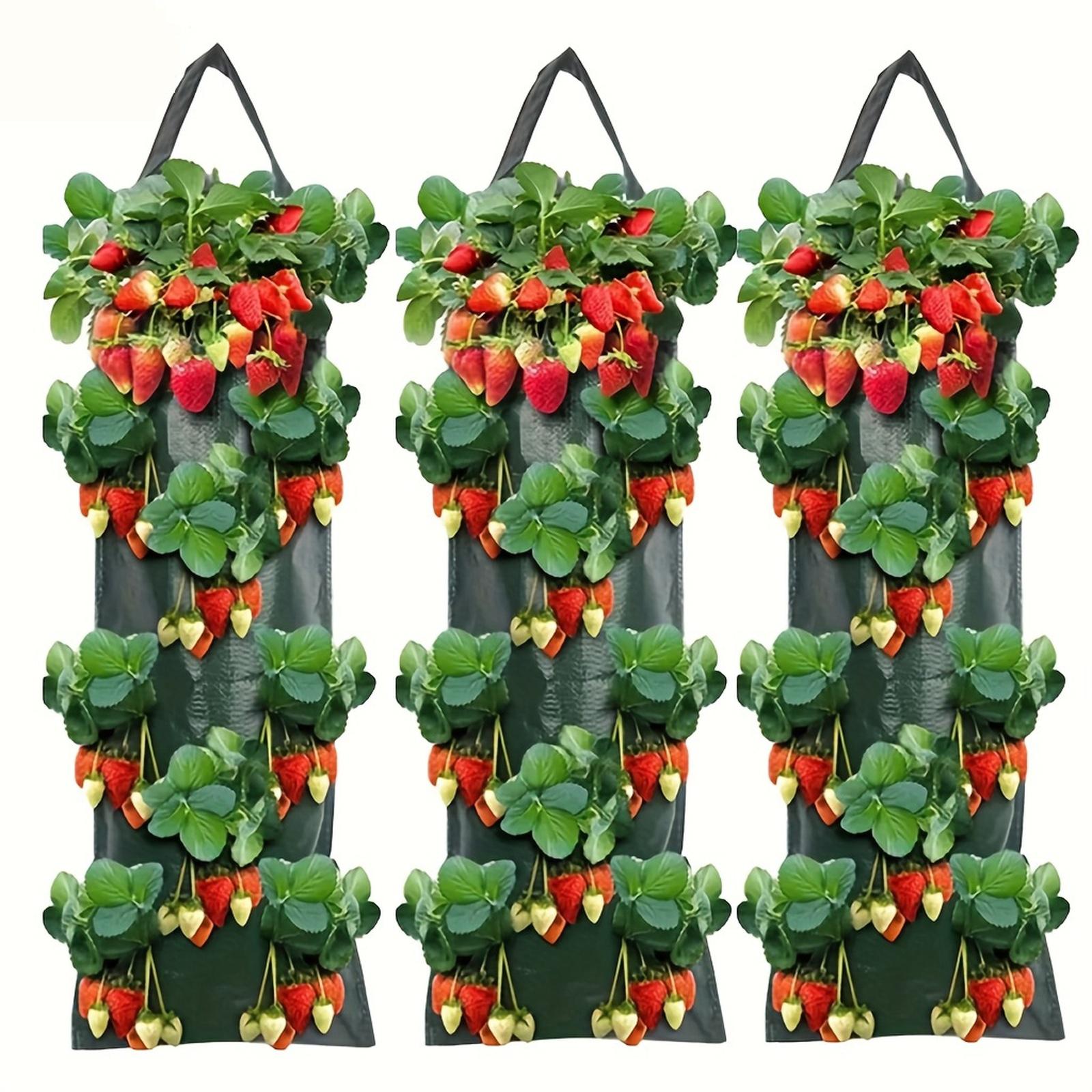 3pc Hanging 8-Hole Strawberry Planting Bags Made Of PE Material, One Size зелёный
3pc Hanging 8-Hole Strawberry Planting Bags Made Of PE Material, One Size зелёный