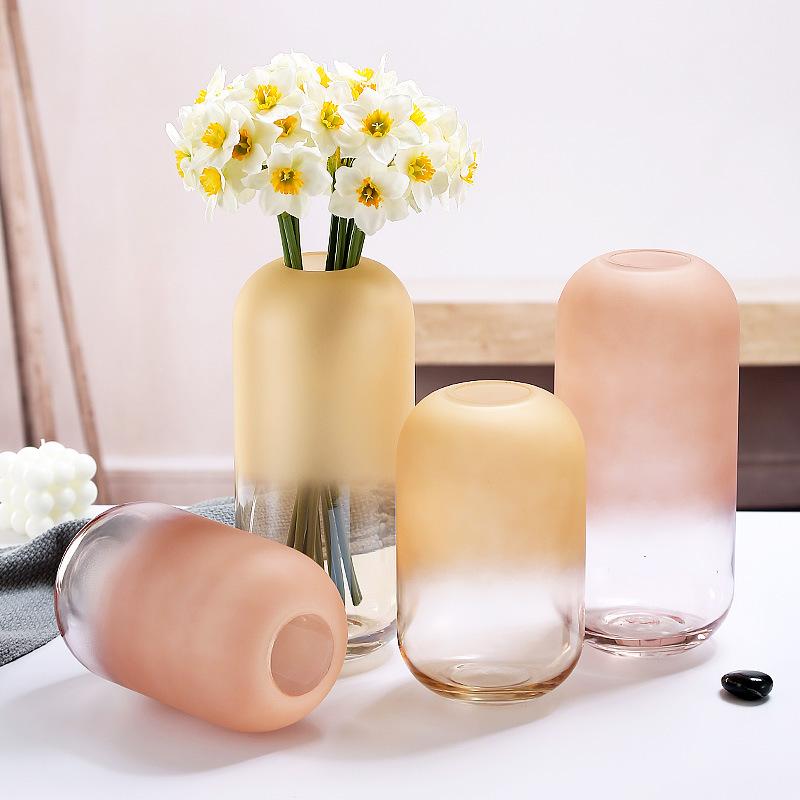 Gradual Frosted Glass Vase Floral Arrangement Accessories Hydroponics Terrarium Transparent Flower Vase Home Decoration
Gradual Frosted Glass Vase Floral Arrangement Accessories Hydroponics Terrarium Transparent Flower Vase Home Decoration