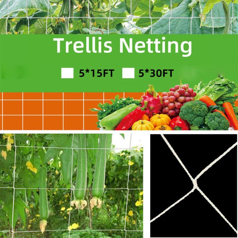 Аксессуары для выращивания фасоли, решетка для растений, сетка для овощей, фруктов, садовая сетка, сетка для поддержки растений
Аксессуары для выращивания фасоли, решетка для растений, сетка для овощей, фруктов, садовая сетка, сетка для поддержки растений