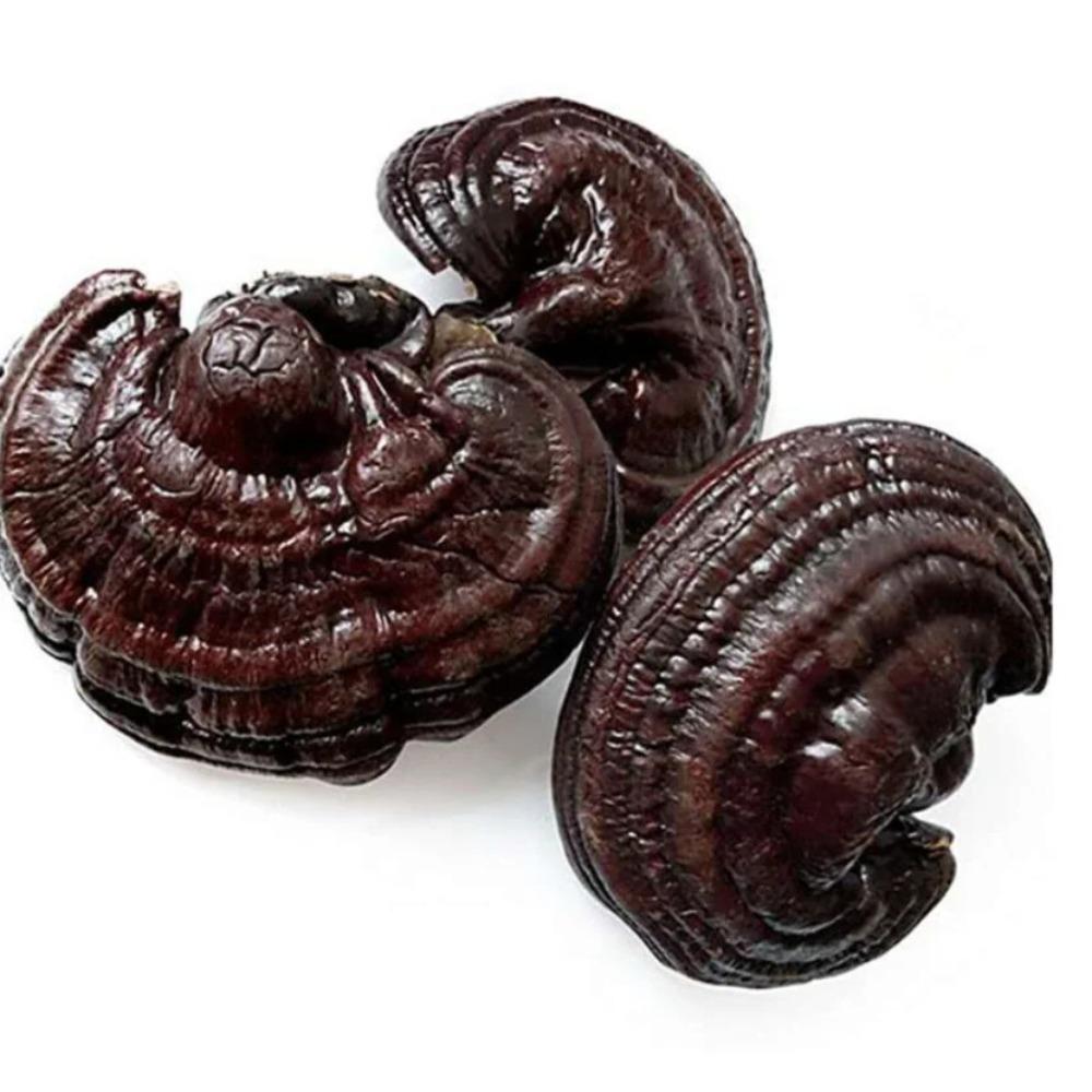 Natural Herbal Detox Tea for Men Women, Dried Ganoderma Mushrooms 8 Pcs 01
Natural Herbal Detox Tea for Men Women, Dried Ganoderma Mushrooms 8 Pcs 01