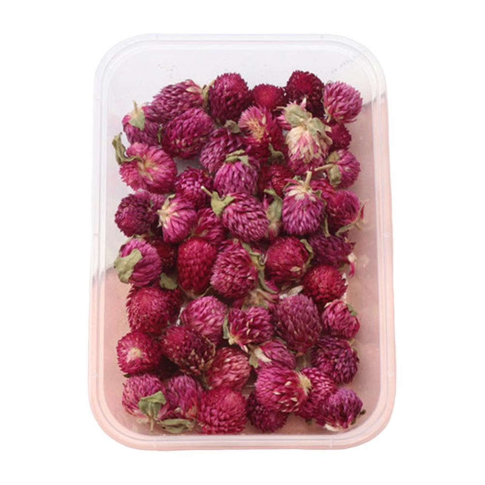 Natural Dried Flower Assortment Home Decoration Natural Dried Pressed Flowers For Handmade Crafts DIY Candles Epoxy Resin Flower
Natural Dried Flower Assortment Home Decoration Natural Dried Pressed Flowers For Handmade Crafts DIY Candles Epoxy Resin Flower