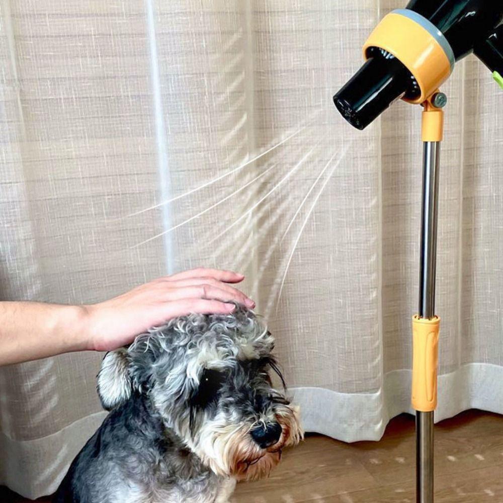 Аксессуары для волос Рамка для крепления фена Держатель для фена Кронштейн для фена Поддержка для ухода за кошкой
Аксессуары для волос Рамка для крепления фена Держатель для фена Кронштейн для фена Поддержка для ухода за кошкой