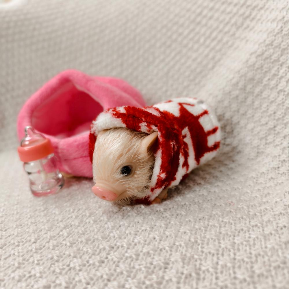 5/6 дюймовая силиконовая кукла-поросенок, мини-мягкая реалистичная силиконовая кукла-поросенок, миниатюрный реборн-силиконовый поросенок с аксессуарами для детского подарка серый
5/6 дюймовая силиконовая кукла-поросенок, мини-мягкая реалистичная силиконовая кукла-поросенок, миниатюрный реборн-силиконовый поросенок с аксессуарами для детского подарка серый