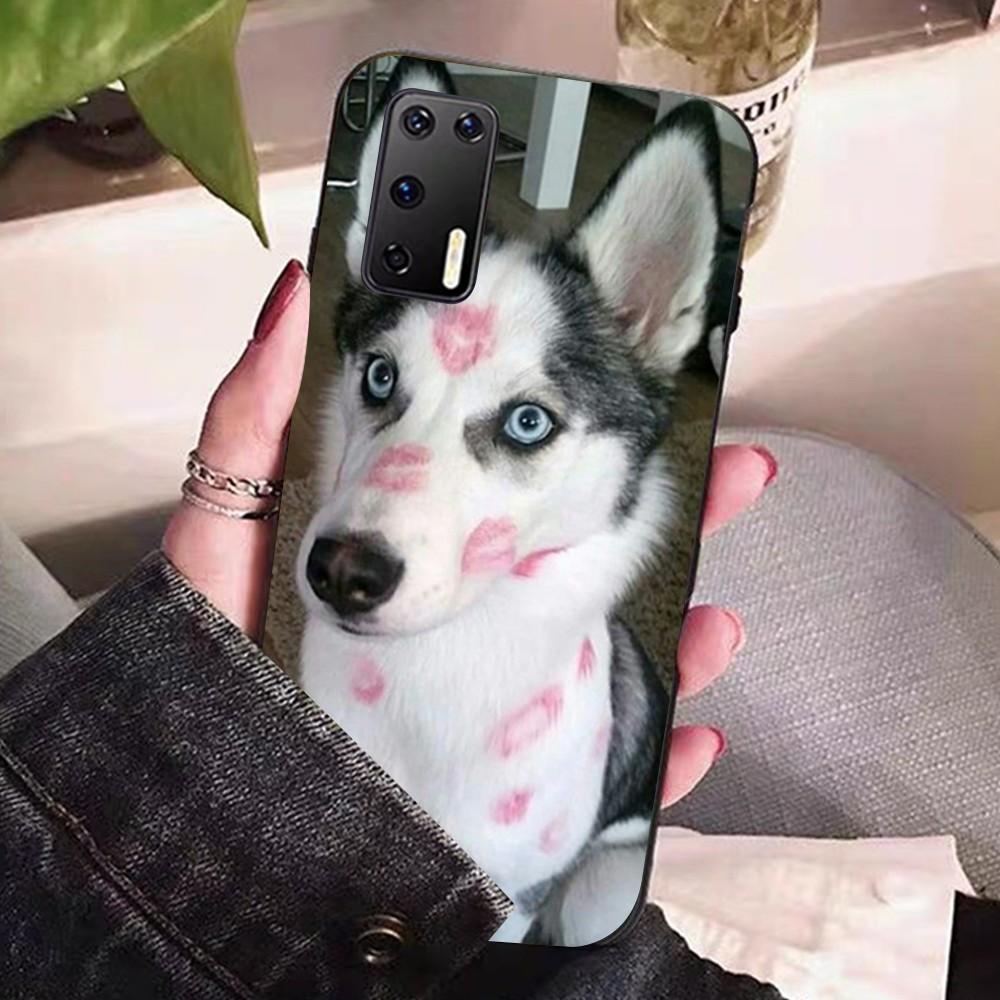 Husky dog Phone Case For Huawei P 8 9 10 20 30 40 50 Pro Lite Psmart Honor 10 lite 70 Mate 20lite Huawei P40 Pro
Husky dog Phone Case For Huawei P 8 9 10 20 30 40 50 Pro Lite Psmart Honor 10 lite 70 Mate 20lite Huawei P40 Pro