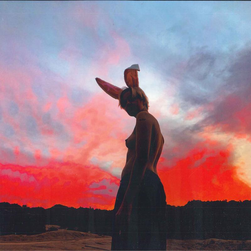 LP Record BIIG PIIG - The Sky Is Bleeding 19439877251 RCA, Sony Music 2021 Europe Rock
LP Record BIIG PIIG - The Sky Is Bleeding 19439877251 RCA, Sony Music 2021 Europe Rock