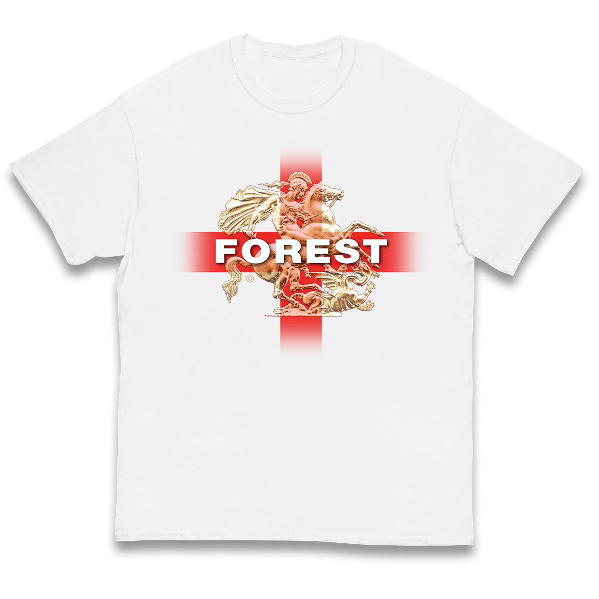 Forest St George & The Dragon Kids T Shirt 160
Forest St George & The Dragon Kids T Shirt 160