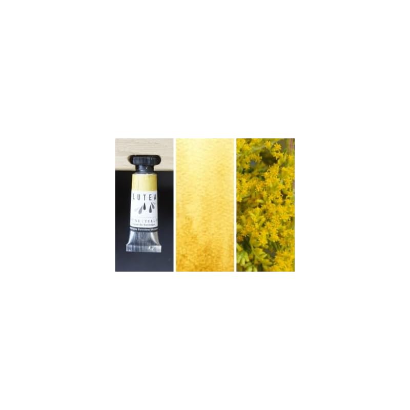 LUTEA transparent watercolor paint 9ml tube (Yellow(goldenrod)~Setaka Awadachi grass~)
LUTEA transparent watercolor paint 9ml tube (Yellow(goldenrod)~Setaka Awadachi grass~)