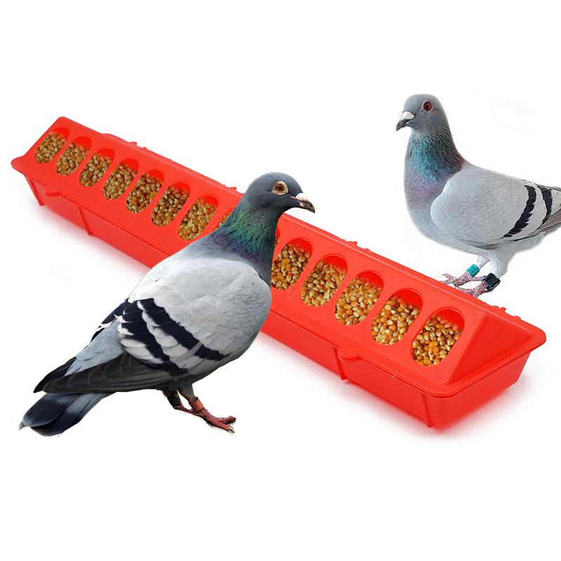 50 Cm Flip-Top Poultry Ground Feeder Chicken Poultry Feeder Trough Chicken Farming Tool Pheasant Feeding Bucket Quality Chick красный
50 Cm Flip-Top Poultry Ground Feeder Chicken Poultry Feeder Trough Chicken Farming Tool Pheasant Feeding Bucket Quality Chick красный