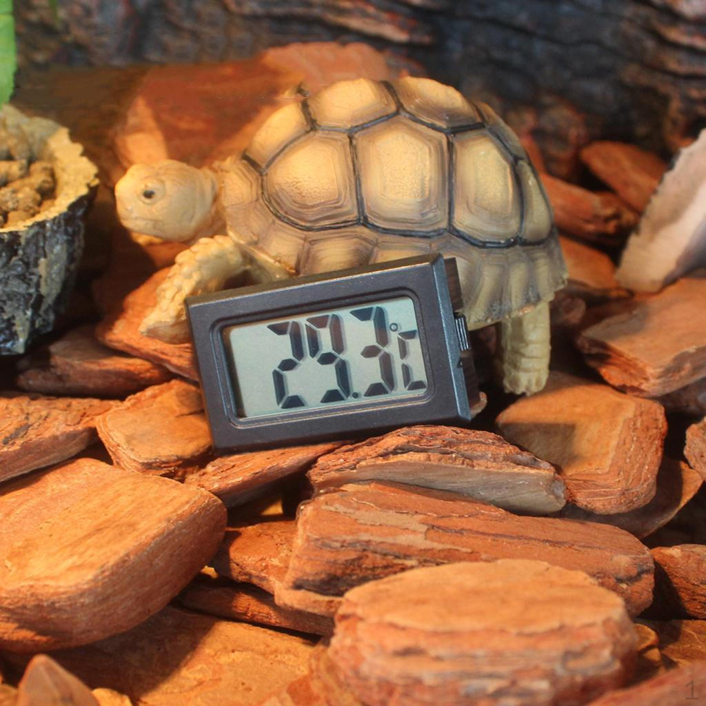 Reptile Incubator Brooder Temperature Meter for Snake, Vivarium
Reptile Incubator Brooder Temperature Meter for Snake, Vivarium