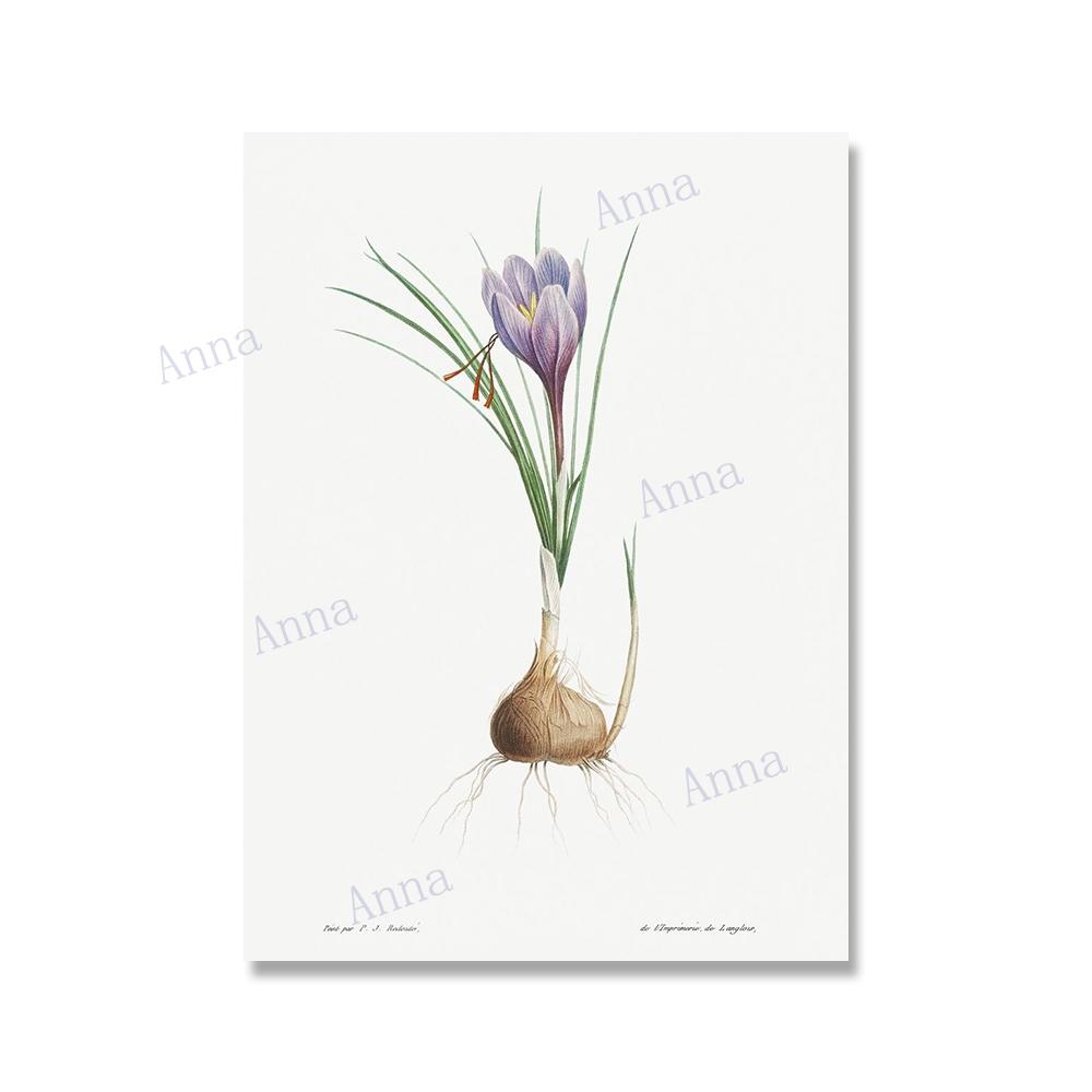 Ретро Квіти Ілюстрація Настінне Мистецтво Плакат Ботанічний Картина На Полотні Плакат Друк Настінне Художнє Картина для Декору Настін Вітальні 30x40cm No Framed
Ретро Квіти Ілюстрація Настінне Мистецтво Плакат Ботанічний Картина На Полотні Плакат Друк Настінне Художнє Картина для Декору Настін Вітальні 30x40cm No Framed