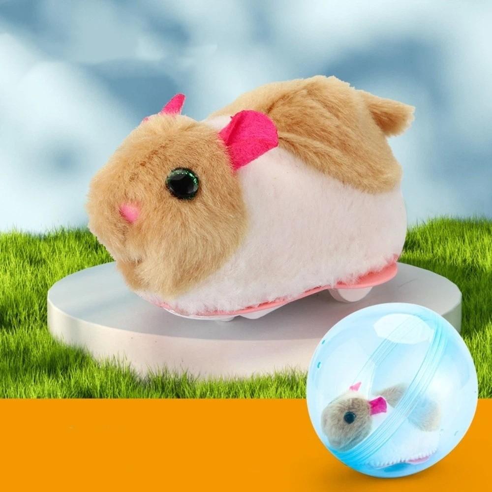 Built-in Plush Animal Interactive Cat Toy Realistic Rabbit Hamster Chasing Ball for Dogs Cats Blue Model C
Built-in Plush Animal Interactive Cat Toy Realistic Rabbit Hamster Chasing Ball for Dogs Cats Blue Model C