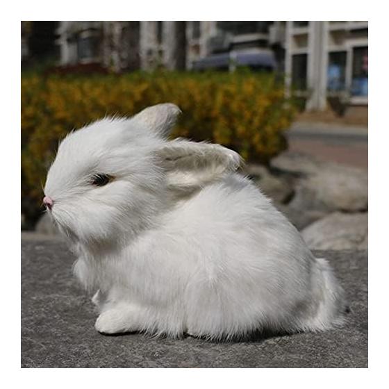 Hug Pillow, Real Rabbit Figurine, Stuffed Rabbit, Model, Realistic, Rabbit, Prize, Standing Model, Car, Office, Toy, Photography Tools, Model, Small
Hug Pillow, Real Rabbit Figurine, Stuffed Rabbit, Model, Realistic, Rabbit, Prize, Standing Model, Car, Office, Toy, Photography Tools, Model, Small