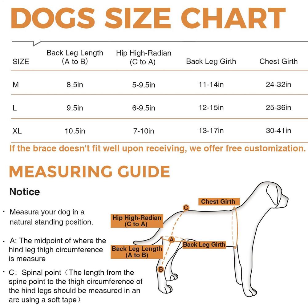 Наколенник для собак Задняя нога Регулируемый Бандаж для задней ноги собак Бандаж для задней ноги собак Уход за собаками Поддерживающий бандаж для ПКС для средних и крупных M чёрный
Наколенник для собак Задняя нога Регулируемый Бандаж для задней ноги собак Бандаж для задней ноги собак Уход за собаками Поддерживающий бандаж для ПКС для средних и крупных M чёрный