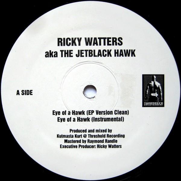 12inch Record RICKY WATTERS AKA THE JETBLACK HAWK - Eye Of A Hawk EYEHAWK1 Thorobred Enter 2000 US Rap & Hip-Hop/R&B Used
12inch Record RICKY WATTERS AKA THE JETBLACK HAWK - Eye Of A Hawk EYEHAWK1 Thorobred Enter 2000 US Rap & Hip-Hop/R&B Used