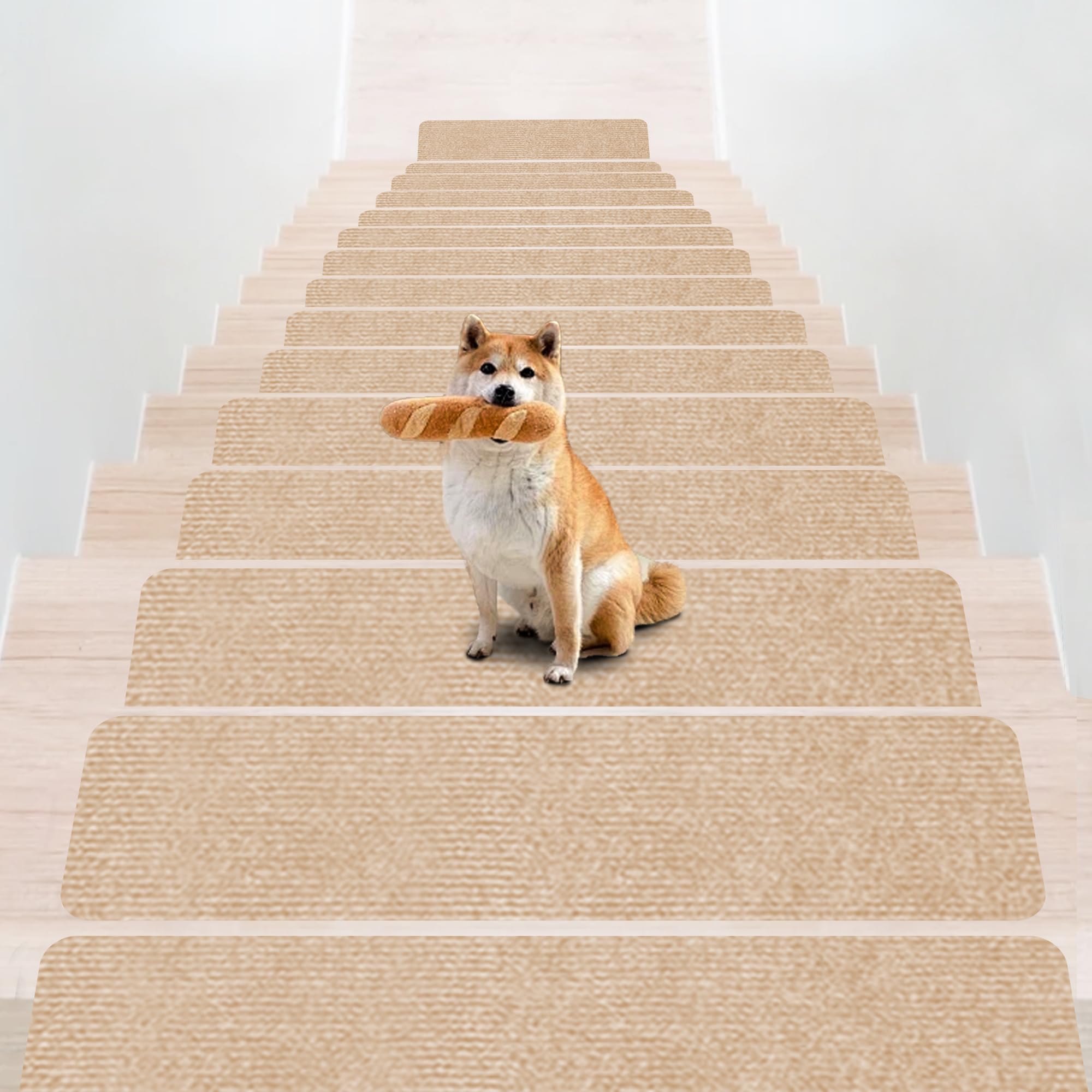 Limited Stair for 70 x 22 cm of XIWEIYI Stair Carpet 4 Adsorption Mat for Floor Step Stair Prevents Prevents Reduces the Burden on Legs and Prevents бежевий
Limited Stair for 70 x 22 cm of XIWEIYI Stair Carpet 4 Adsorption Mat for Floor Step Stair Prevents Prevents Reduces the Burden on Legs and Prevents бежевий