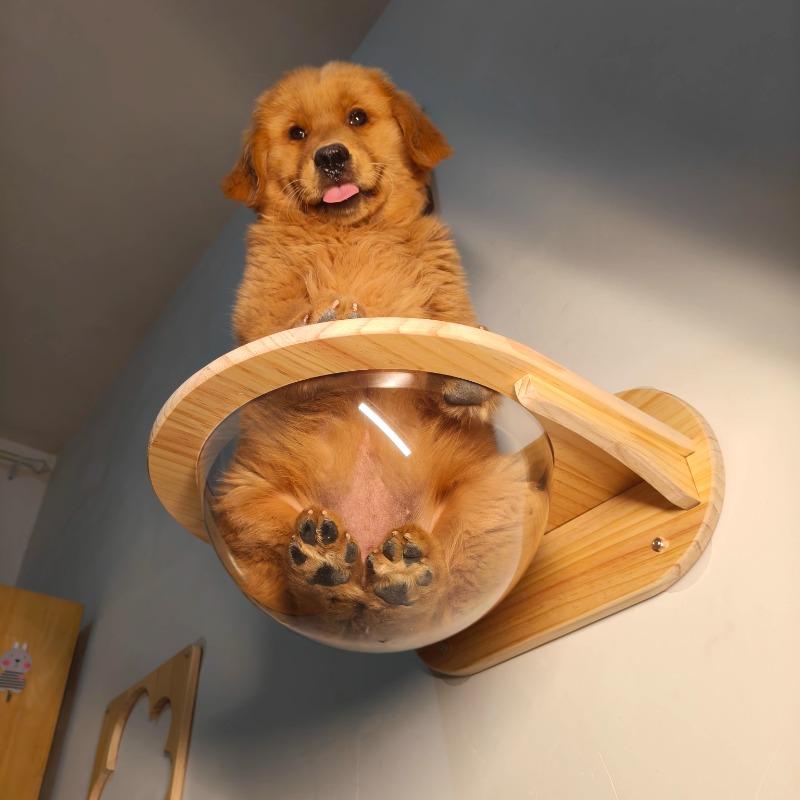Pine Solid Wood Cat Wall Mounted Perforation Free Space Capsule Hanging Cat Nest Climbing Shelf Gangway Stairs Pet Supplies
Pine Solid Wood Cat Wall Mounted Perforation Free Space Capsule Hanging Cat Nest Climbing Shelf Gangway Stairs Pet Supplies