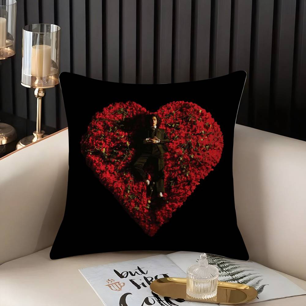 Conan Gray Holidays Pillow Case Home Dorm Chair Back Short Plush Double-sided Printing Office Nap Time Cushion Cover 30cmx30cm
Conan Gray Holidays Pillow Case Home Dorm Chair Back Short Plush Double-sided Printing Office Nap Time Cushion Cover 30cmx30cm