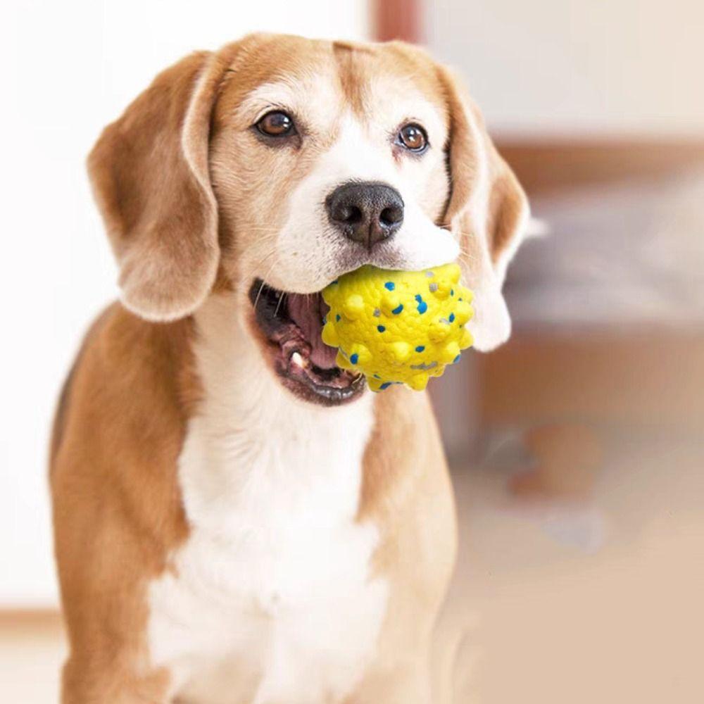High Elasticity Dog Chew Toy Durable Dog Training Toy Pet Teeth Cleaning Pet Toy Ball Puppy M зелений
High Elasticity Dog Chew Toy Durable Dog Training Toy Pet Teeth Cleaning Pet Toy Ball Puppy M зелений