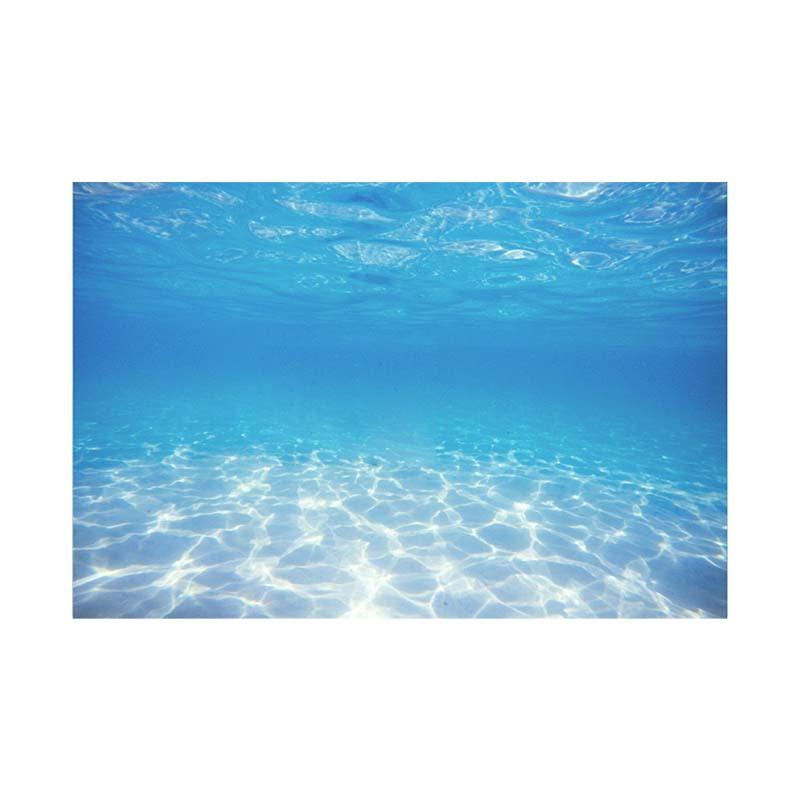 Полиэстеровый фон с изображением подводного пейзажа «Океан, солнечный свет», универсальный декор комнаты для всех сезонов, настенный баннер для фотобудок, вечеринок и праздничных украшений 150*100cm / 5*3ft
Полиэстеровый фон с изображением подводного пейзажа «Океан, солнечный свет», универсальный декор комнаты для всех сезонов, настенный баннер для фотобудок, вечеринок и праздничных украшений 150*100cm / 5*3ft