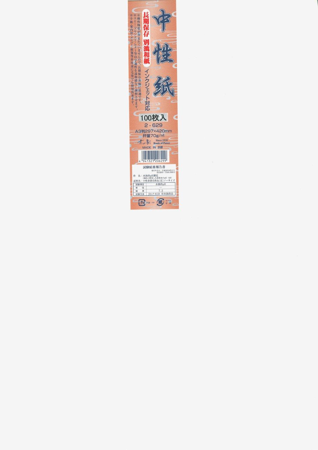 Kyoto Elephant Japanese Paper OA Compatible Washi Neutral Paper A3 100 аркушів білий 2-629 білий
Kyoto Elephant Japanese Paper OA Compatible Washi Neutral Paper A3 100 аркушів білий 2-629 білий