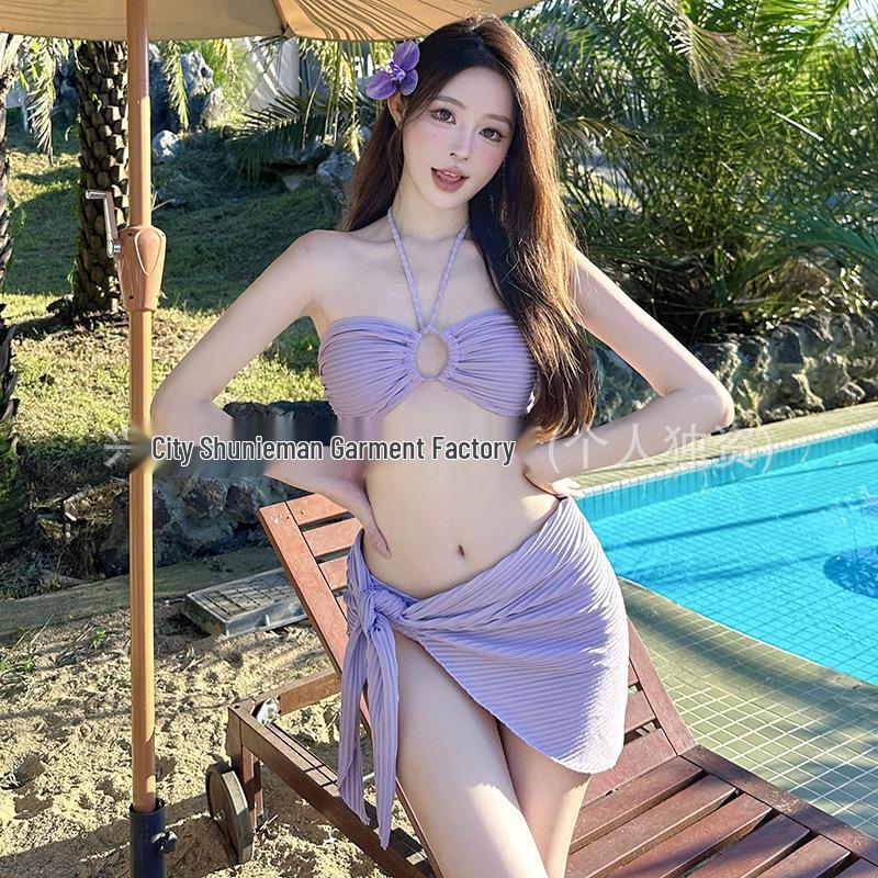 2024 Women s Slimming Three-Piece Swimsuit: Stylish, Belly-Covering Beachwear for Vacations and Hot Springs. S Фіолетовий
2024 Women s Slimming Three-Piece Swimsuit: Stylish, Belly-Covering Beachwear for Vacations and Hot Springs. S Фіолетовий