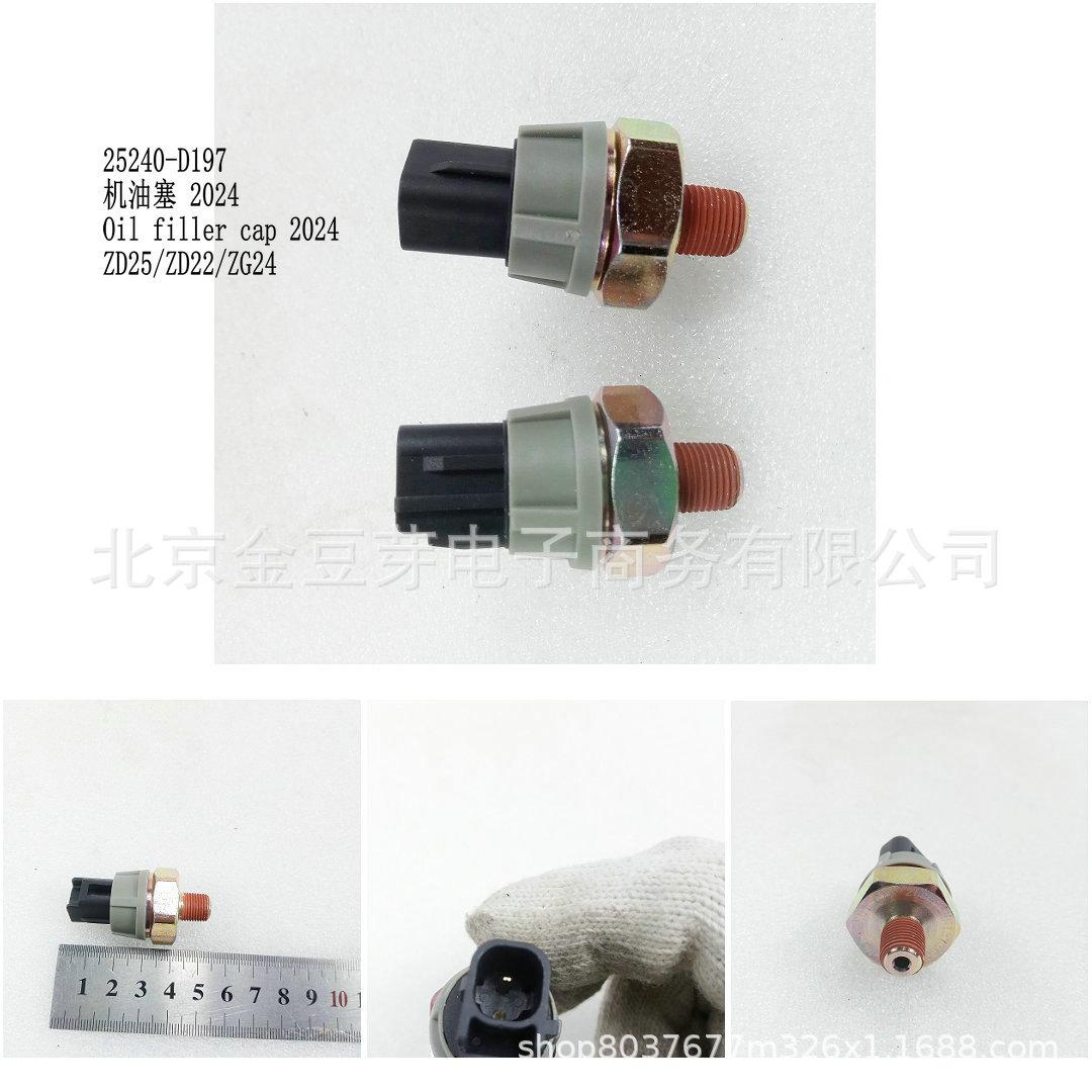 Engine Oil Drain Plug for Nissan ZD25/22/24 (2024) - Model 25240-D197 Neutral
Engine Oil Drain Plug for Nissan ZD25/22/24 (2024) - Model 25240-D197 Neutral