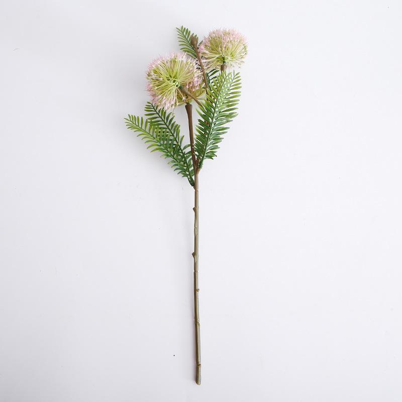 Одиночная ветка лука-шалота, имитация зеленого растения, украшение для гостиной, имитация растения, имитация цветка branchlet светло-розовый
Одиночная ветка лука-шалота, имитация зеленого растения, украшение для гостиной, имитация растения, имитация цветка branchlet светло-розовый