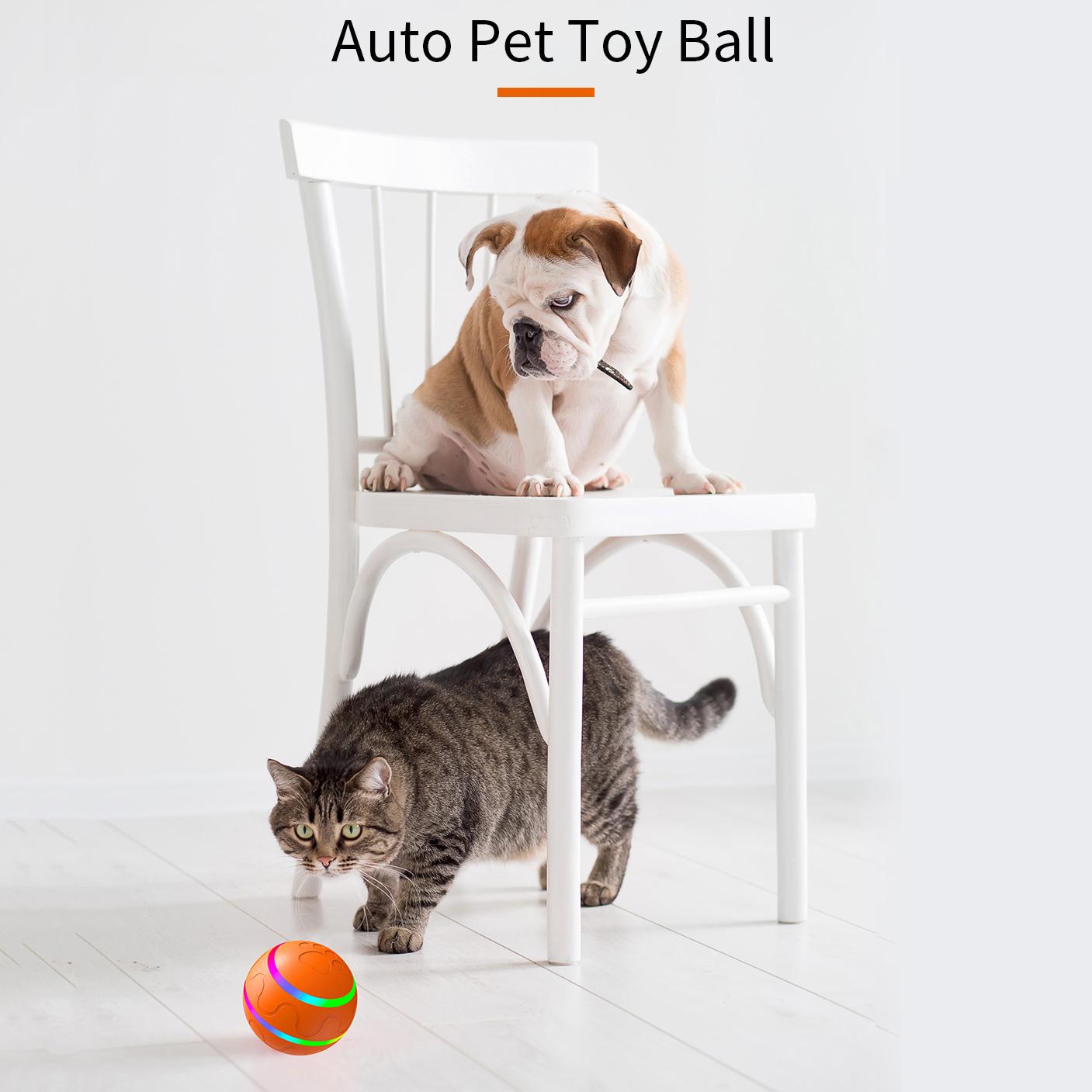 Bite Resistant Cat Dog Puppy Wicked Ball USB Rechargeable LED Light Electric Auto Pet Self-Playing Toy ST Orange
Bite Resistant Cat Dog Puppy Wicked Ball USB Rechargeable LED Light Electric Auto Pet Self-Playing Toy ST Orange