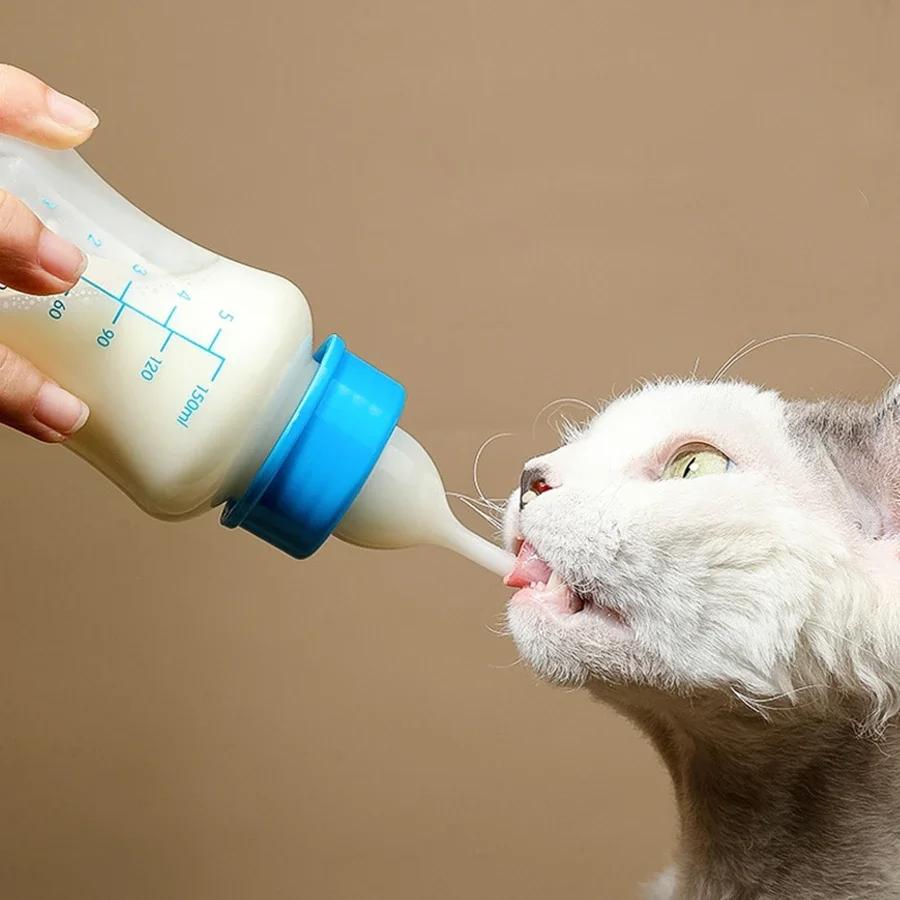 1PC Pet Baby and Cat Feed Device Pacifier Newborn Super Puppy Bottle Special Soft Pacifier
1PC Pet Baby and Cat Feed Device Pacifier Newborn Super Puppy Bottle Special Soft Pacifier