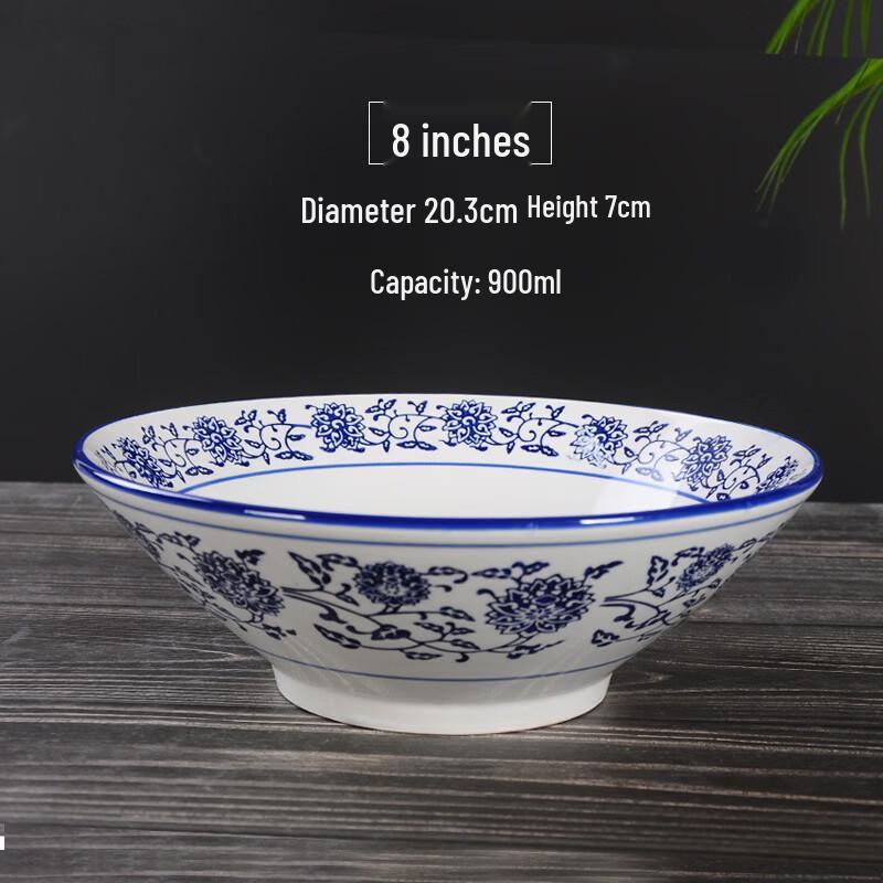 Blue & White Ceramic Noodle Bowl Set
Blue & White Ceramic Noodle Bowl Set