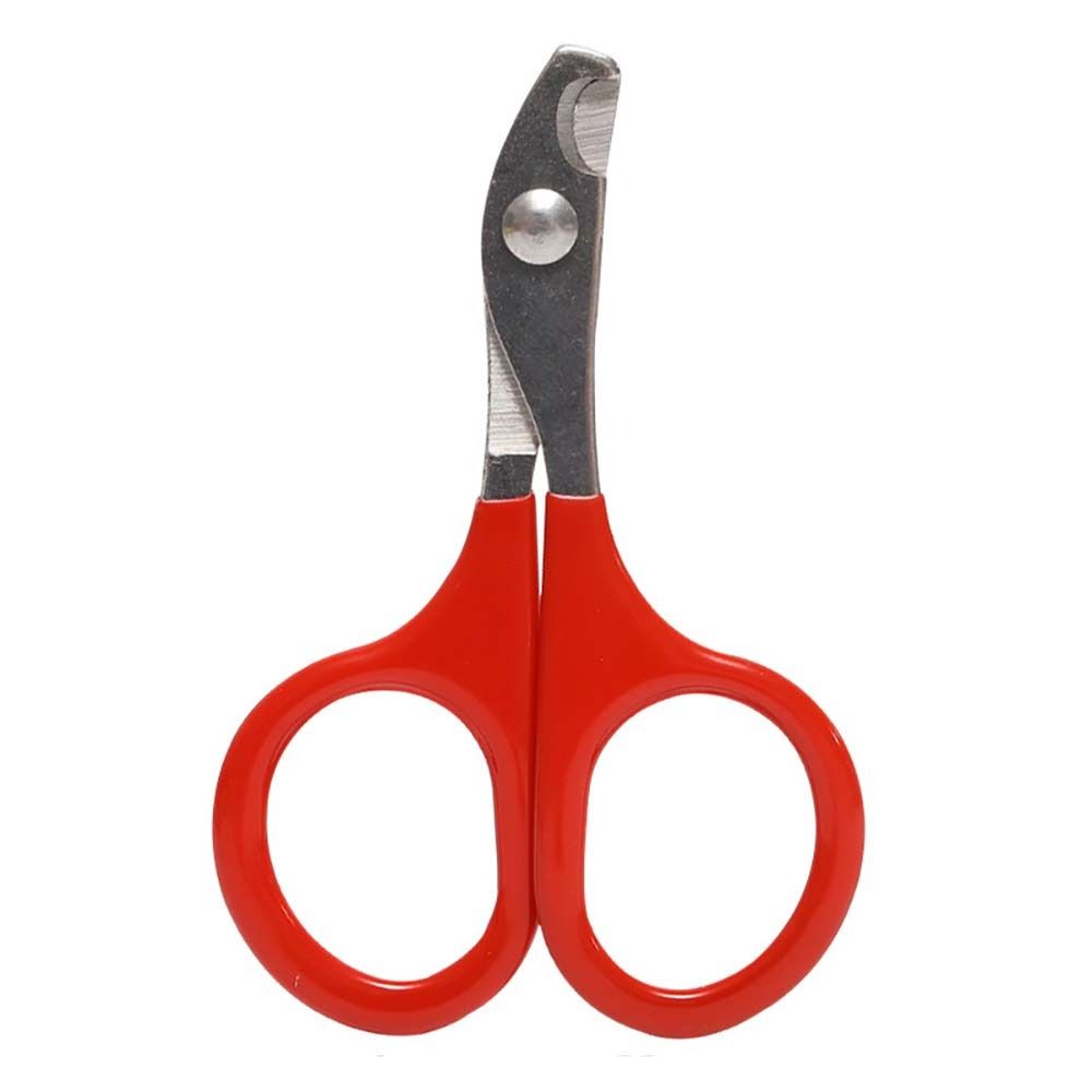 Grooming Puppy Kitten Pet Supplies Pet Nail Clipper Cat Nail Grinder Cat Scissor Cat Nail Trimmer червоний
Grooming Puppy Kitten Pet Supplies Pet Nail Clipper Cat Nail Grinder Cat Scissor Cat Nail Trimmer червоний