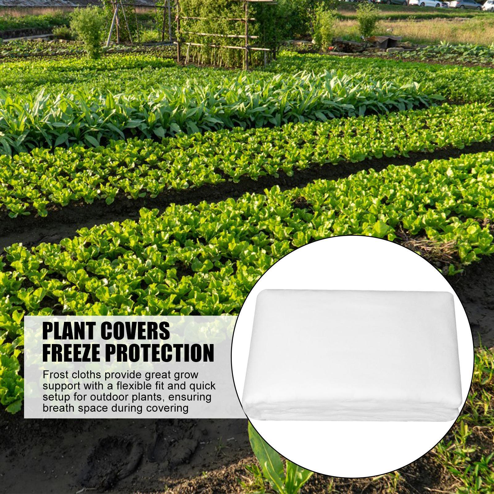 Frost Covers For Outdoor Plants 10X30FT Plant Covers For Winter Cloth Fabric Covering For Vegetable Garden Gardening Freeze China Mainland
Frost Covers For Outdoor Plants 10X30FT Plant Covers For Winter Cloth Fabric Covering For Vegetable Garden Gardening Freeze China Mainland