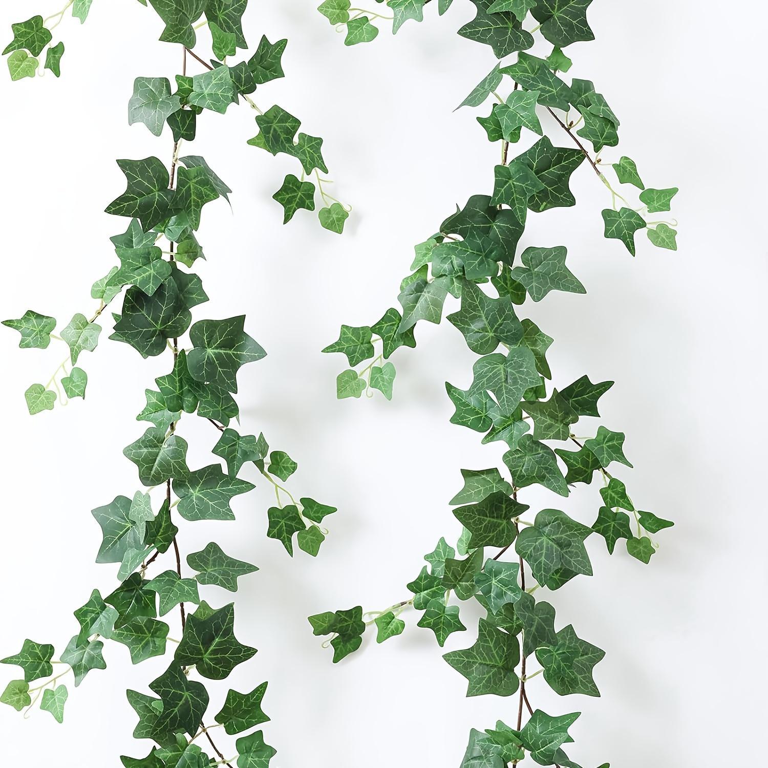 2pcs 71inch Artificial Vine, 1.8m Artificial Green Vine with Simulated Green Sweet Potato Leaves Home Wedding Table Decoration Green Plants. 2pcs
2pcs 71inch Artificial Vine, 1.8m Artificial Green Vine with Simulated Green Sweet Potato Leaves Home Wedding Table Decoration Green Plants. 2pcs