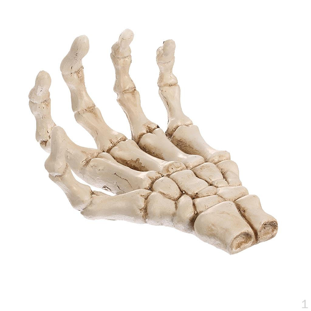 Resin Hand Palm Teaching craft -Beige
Resin Hand Palm Teaching craft -Beige