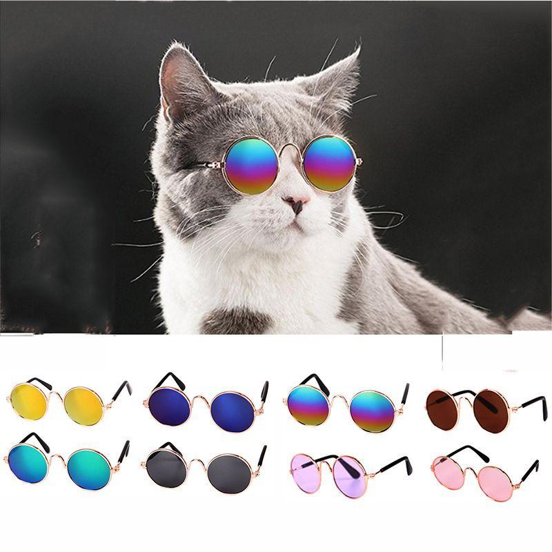 Multicolor Cat Dog Supplies Sunglasses Eye-wear Pet Glasses Pet Supplies
Multicolor Cat Dog Supplies Sunglasses Eye-wear Pet Glasses Pet Supplies