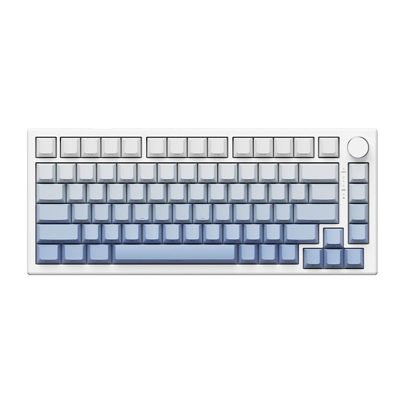 VGN Gaming Keyboard A75 Magnetic Keyboards Gradient Blue Rapid Trigger Compatible Actuation Point English Layout Layout PBT Keycap 0.1mm-4.0mm 75%
VGN Gaming Keyboard A75 Magnetic Keyboards Gradient Blue Rapid Trigger Compatible Actuation Point English Layout Layout PBT Keycap 0.1mm-4.0mm 75%