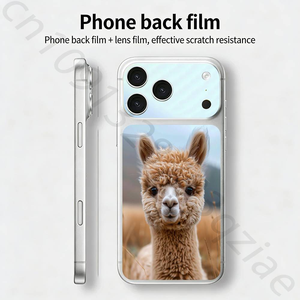 Lama Llama Alpaca TICKET Decal Skin Wrap for iPhone 17 Pro/Pro max Protective Film for Back, Frame, Camera iPhone17pro
Lama Llama Alpaca TICKET Decal Skin Wrap for iPhone 17 Pro/Pro max Protective Film for Back, Frame, Camera iPhone17pro