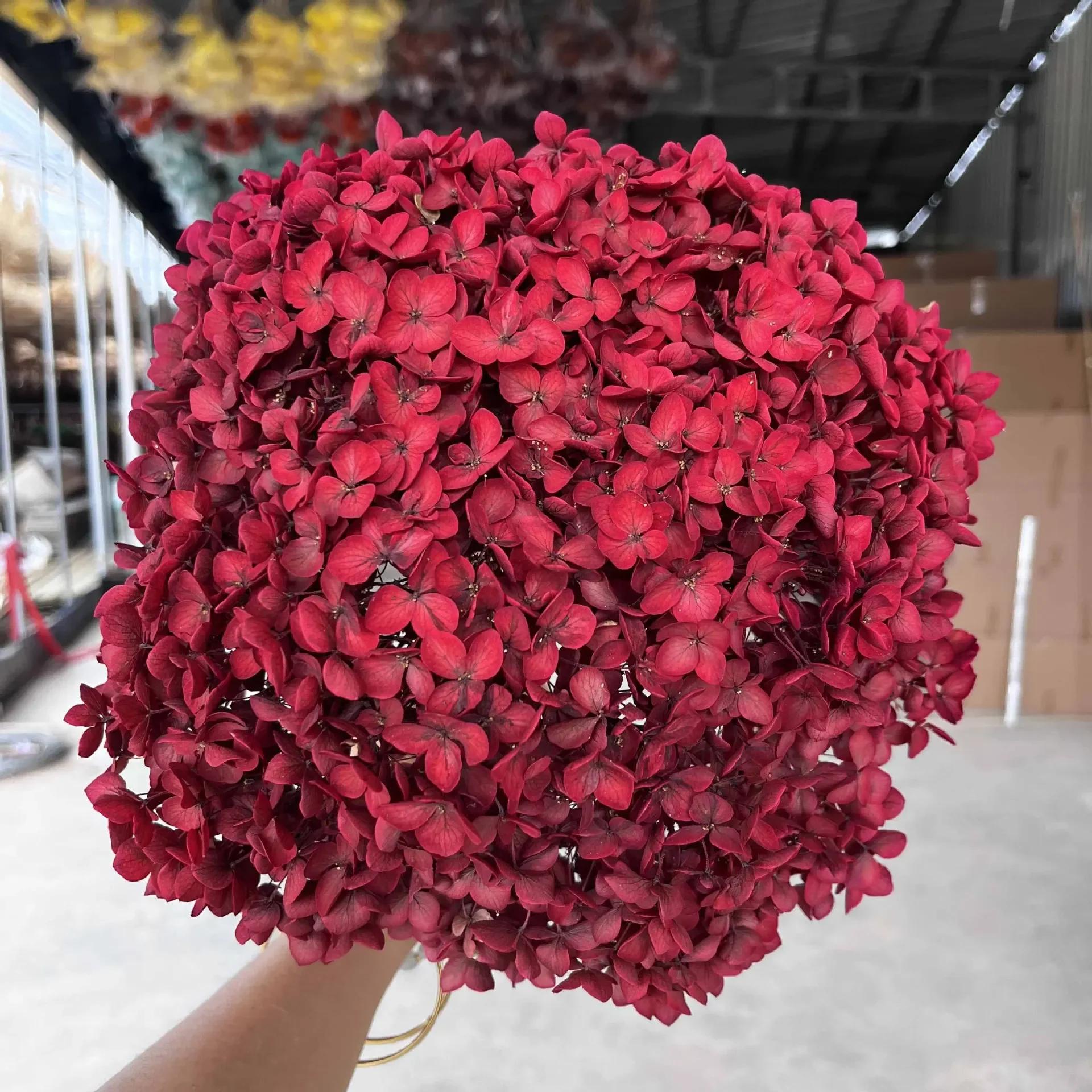 20cm Anna Hydrangea Color Absorption Eternal Flower Dried Flower Simulation Flower Home Wedding Decoration DIY Materials Gift
20cm Anna Hydrangea Color Absorption Eternal Flower Dried Flower Simulation Flower Home Wedding Decoration DIY Materials Gift