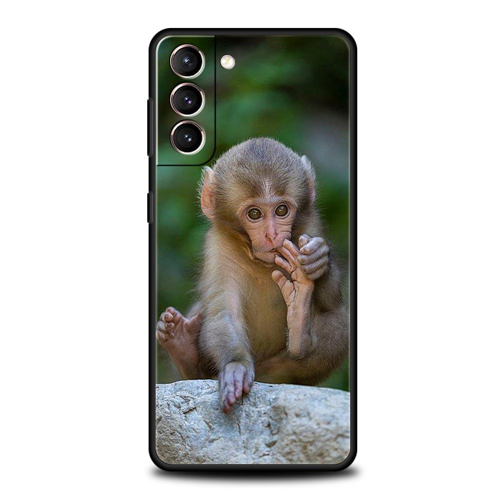 Милый Смешной Обезьянка Мягкий Чехол Для Телефона Для Samsung Galaxy S25 Edge S24 Plus S23 FE S22 S21 S20 Ultra 5G S10 Черный Защитный Чехол Samsung S23 Plus
Милый Смешной Обезьянка Мягкий Чехол Для Телефона Для Samsung Galaxy S25 Edge S24 Plus S23 FE S22 S21 S20 Ultra 5G S10 Черный Защитный Чехол Samsung S23 Plus