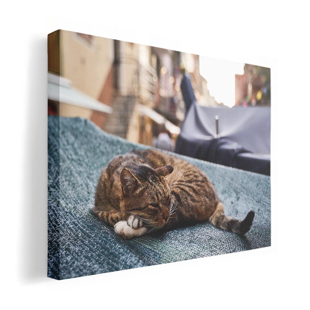 Art 420mm x Wall Wooden Stylish Interior Photo Panel, Painting, Decoration, igsticker, 297mm, A3, Photo, Hanging, Frame, Decor, 023084, Cat, Animal,
Art 420mm x Wall Wooden Stylish Interior Photo Panel, Painting, Decoration, igsticker, 297mm, A3, Photo, Hanging, Frame, Decor, 023084, Cat, Animal,