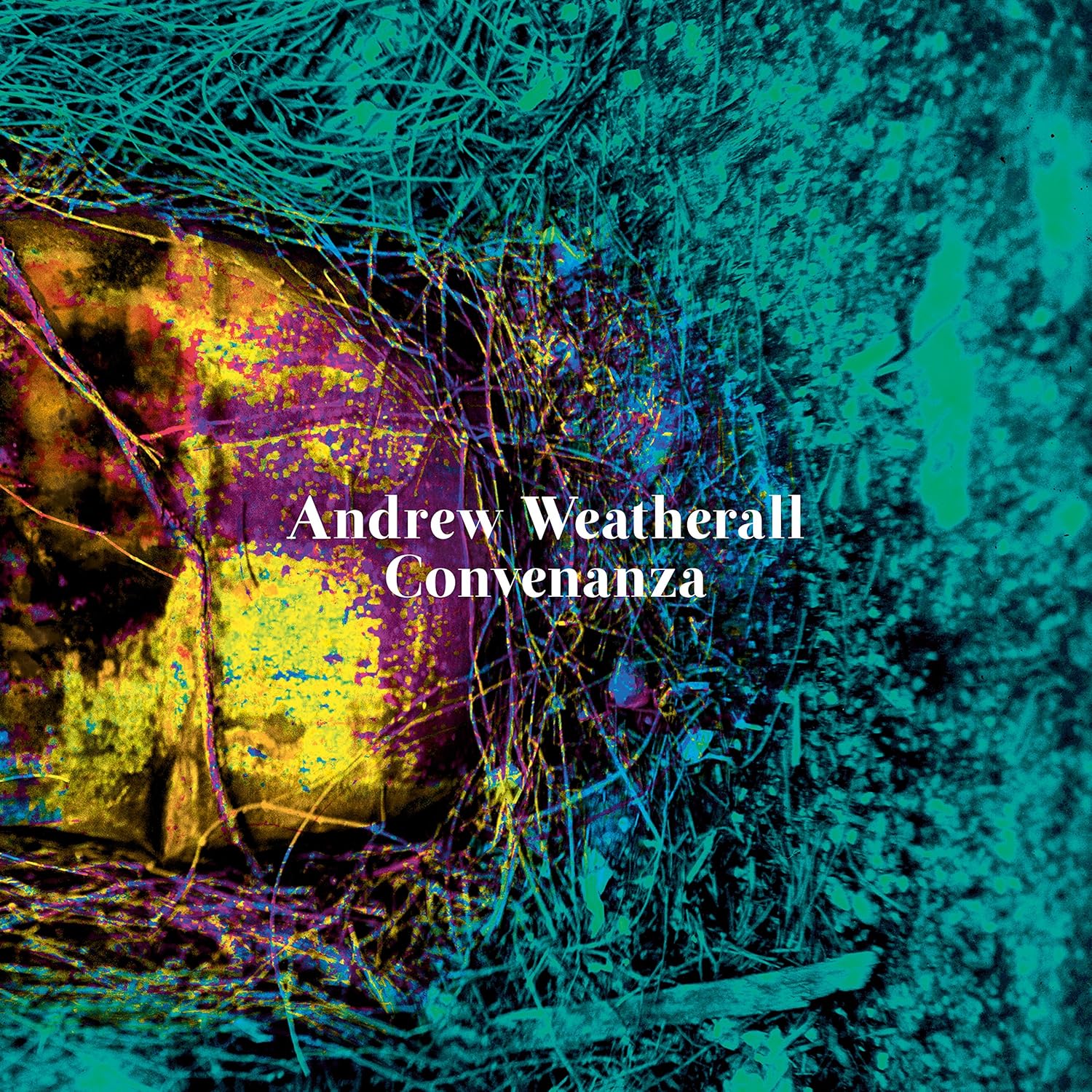 CD ANDREW WEATHERALL - Convenanza BRC494PROMO Beat Records 2016 Japan ObiDance & Electronica Used
CD ANDREW WEATHERALL - Convenanza BRC494PROMO Beat Records 2016 Japan ObiDance & Electronica Used