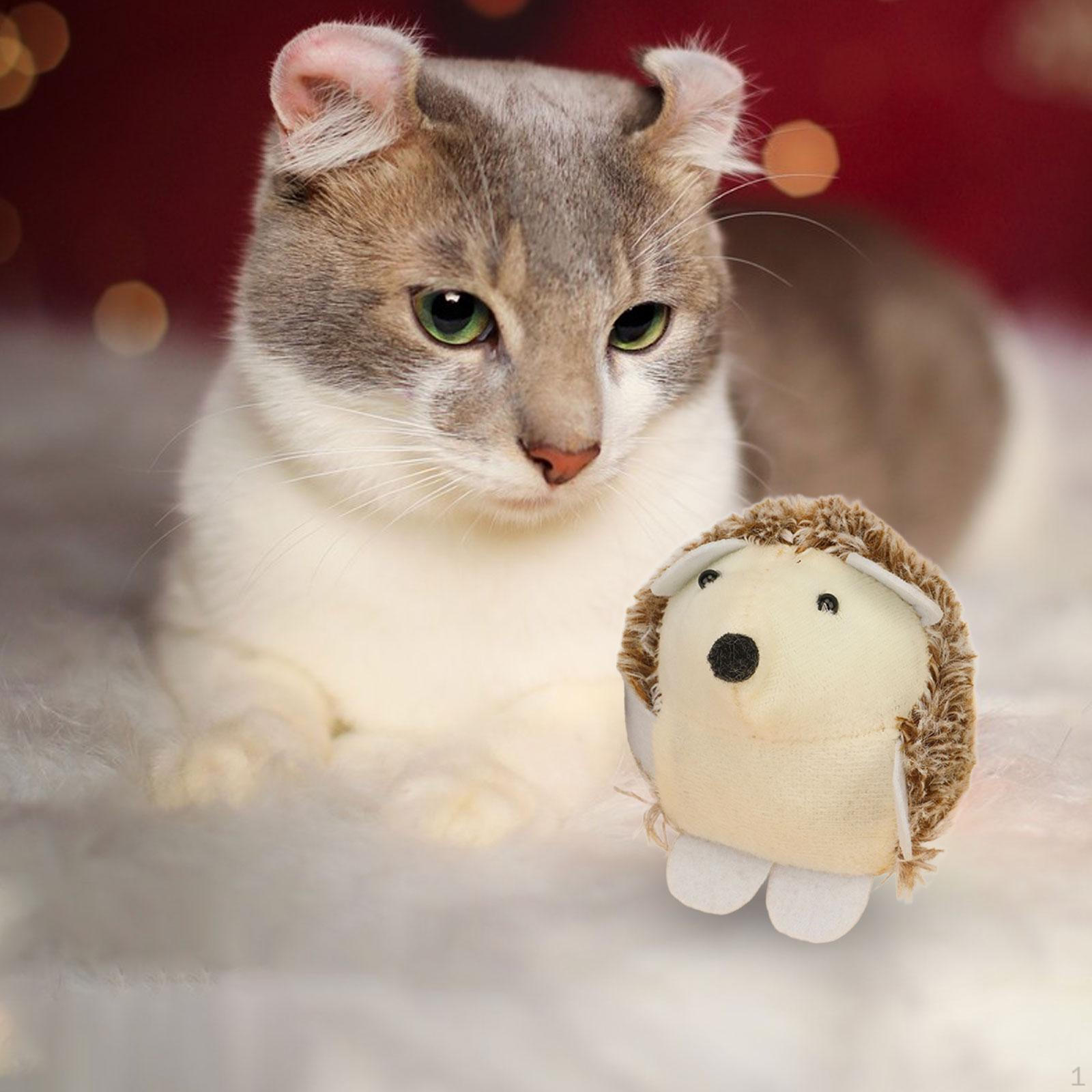 Plush Dog Toy for Chewers of All Sizes Brown hedgehog
Plush Dog Toy for Chewers of All Sizes Brown hedgehog